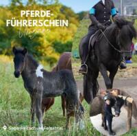 pferdeführerschein.jpg