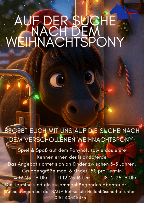 Ponyclub Weihnachten.png