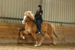 Frühlingsturnier DSC02819-2_Web.jpg