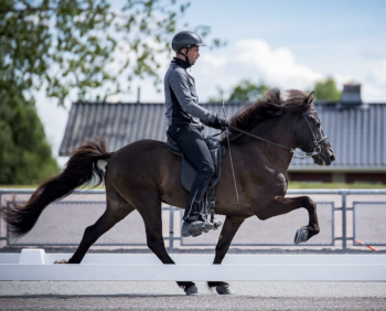 Bildschirmfoto 2025-10-13 um 22.13.58.png