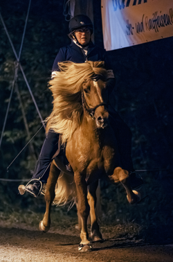 Bildschirmfoto 2025-10-01 um 19.26.40.png 1